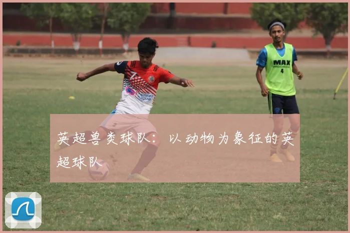 英超兽类球队：以动物为象征的英超球队