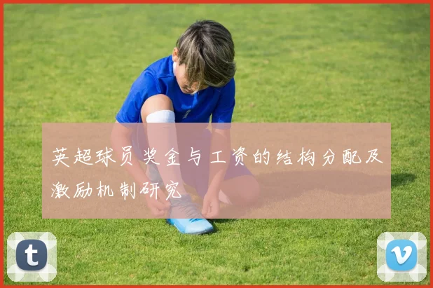 英超球员奖金与工资的结构分配及激励机制研究