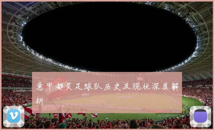 意甲都灵足球队历史及现状深度解析