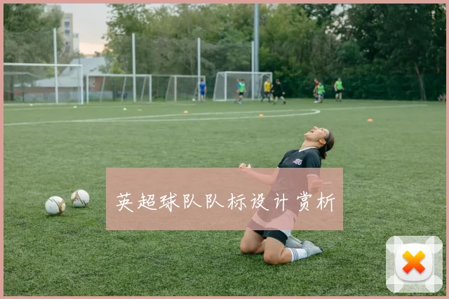 英超球队队标设计赏析