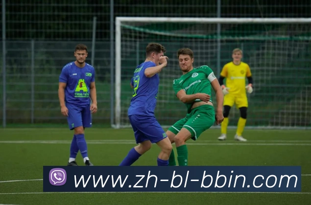 bbin宝盈平台生态图