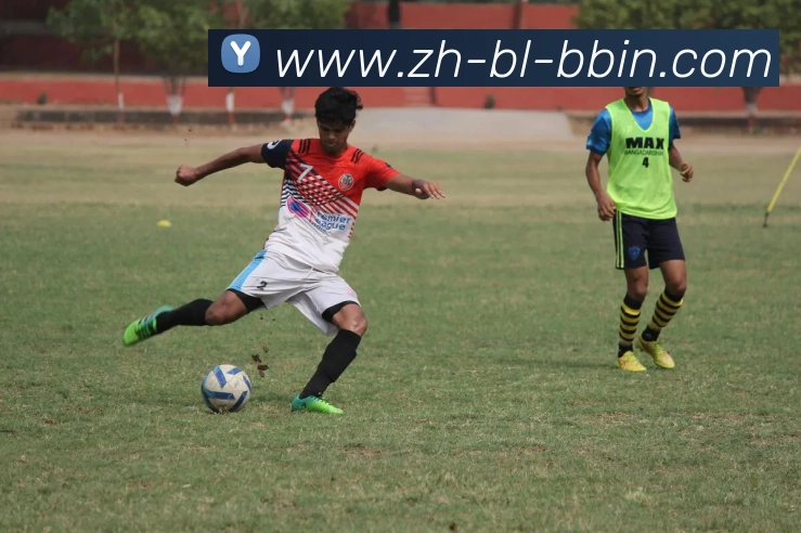 bbin宝盈APP 封面图